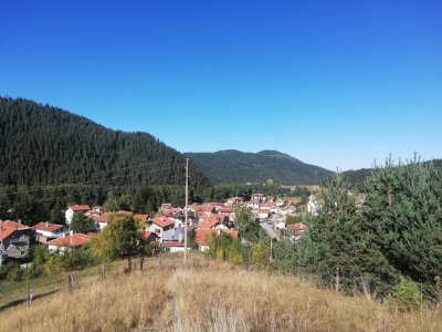 Прегледай