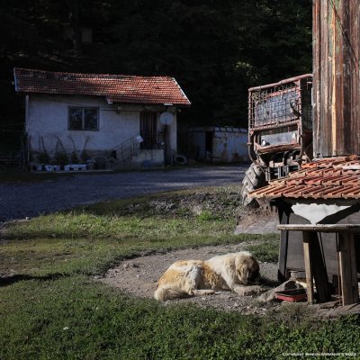 Хижа 
