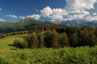 Прегледай
