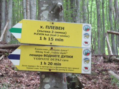 Прегледай