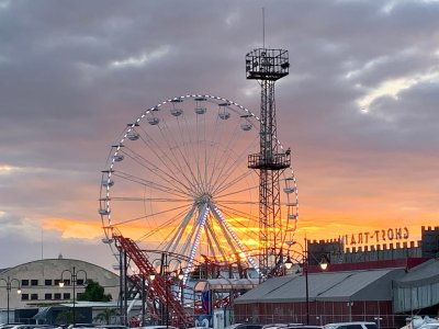 Прегледай