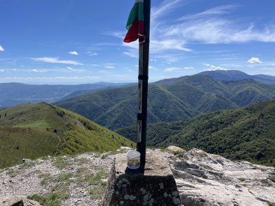 Прегледай
