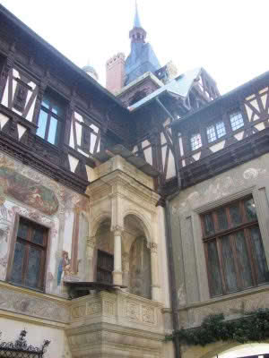 Синая