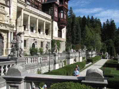 Синая