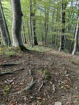 Хижа Козя стена