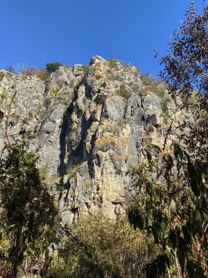 Пепелина
