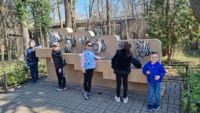 Зоологическа Градина Букурещ