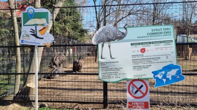 Зоологическа Градина Букурещ