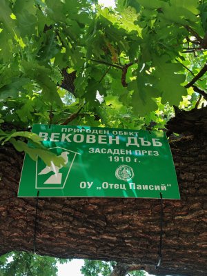 Дунавска градина