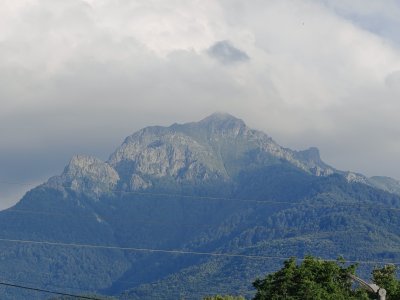Острец