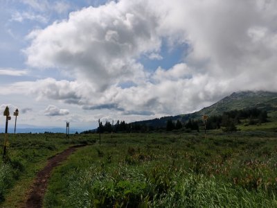 Природен парк Витоша