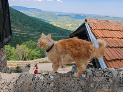 Изкачване на връх Мальовица