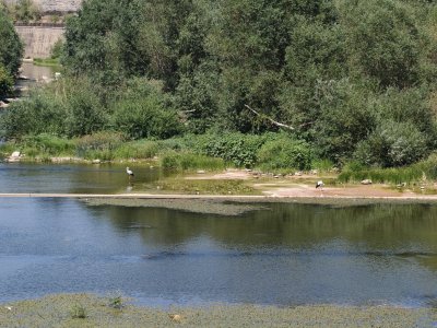Изкачване на връх Марагидик с деца Изкачване на връх Марагидик с деца