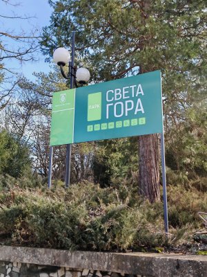 Света Гора