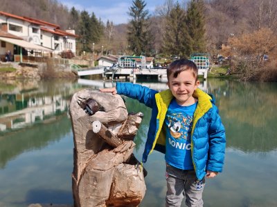 Ксилифор