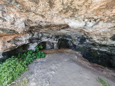 Разходка до северното Черноморие без деца