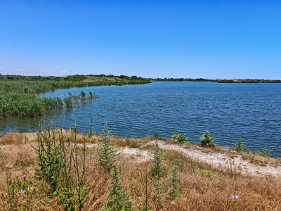 Разходка до северното Черноморие без деца
