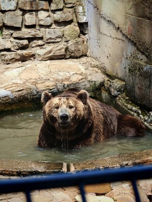 Красен Красен